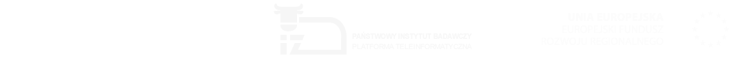 Budowa Platformy Informatycznej